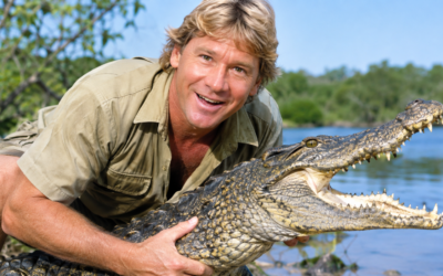 how did steve irwin die